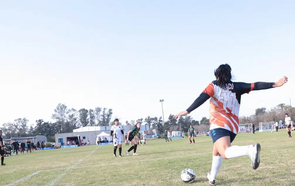 Liga futbol 7