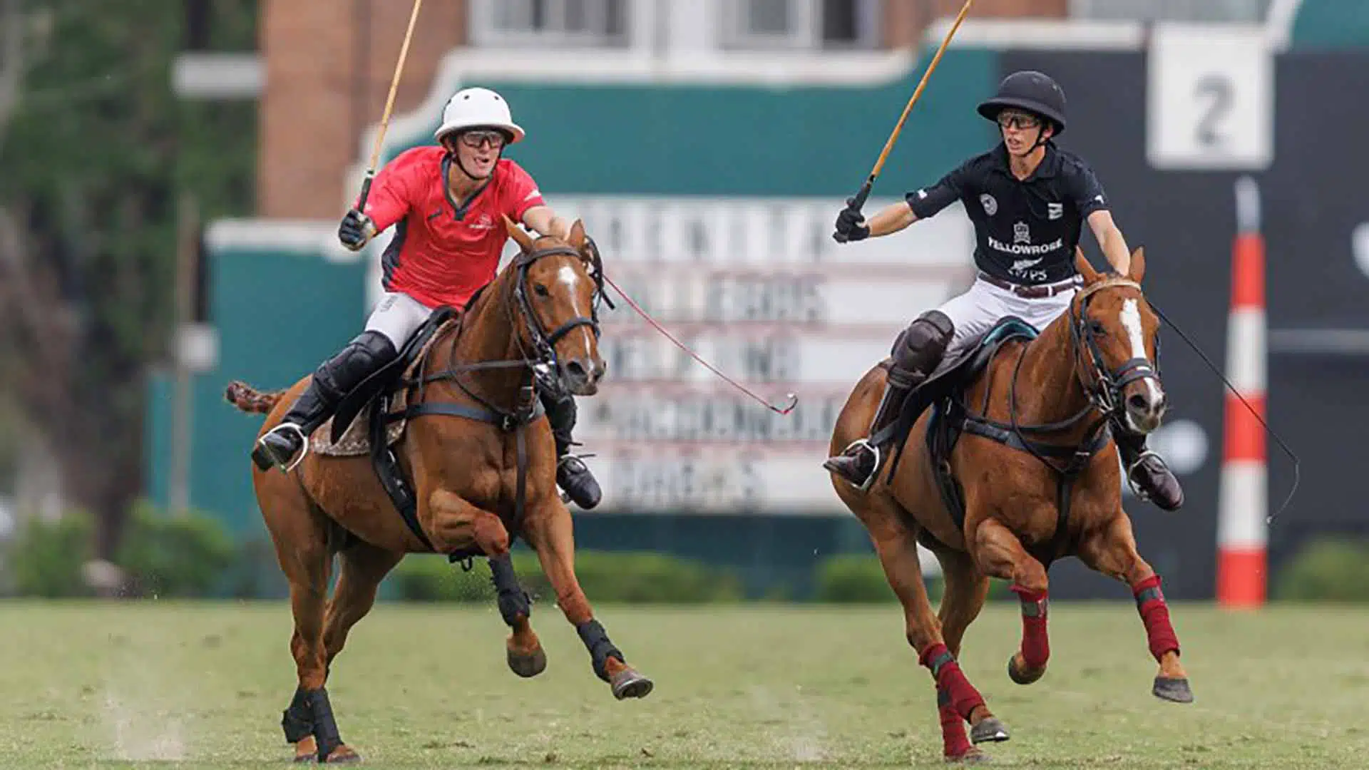 Abierto Juvenil Polo