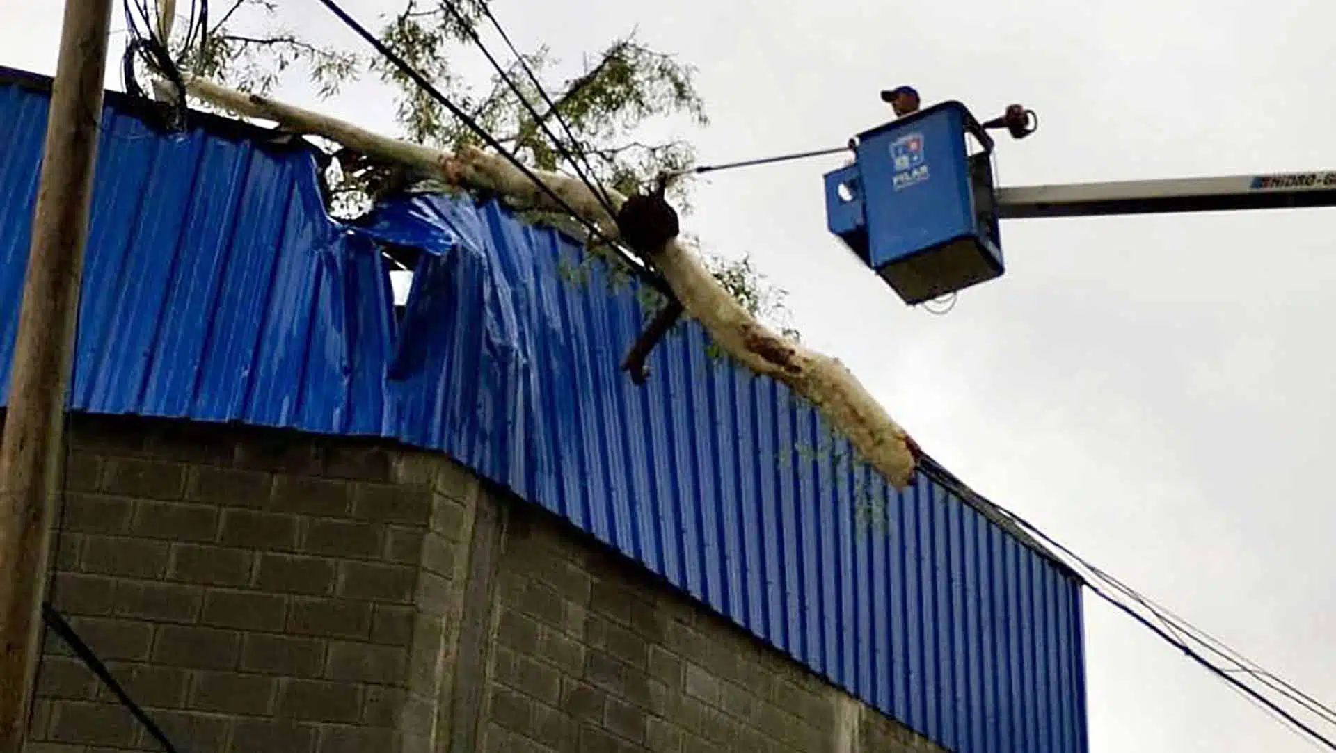 Asistencia Provincia temporal