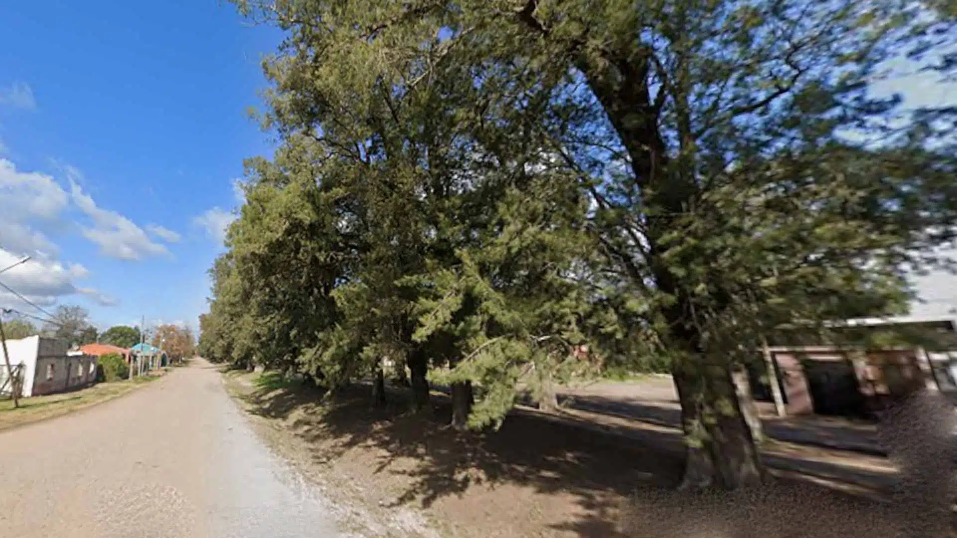 Camino de los Pinos Manzanares