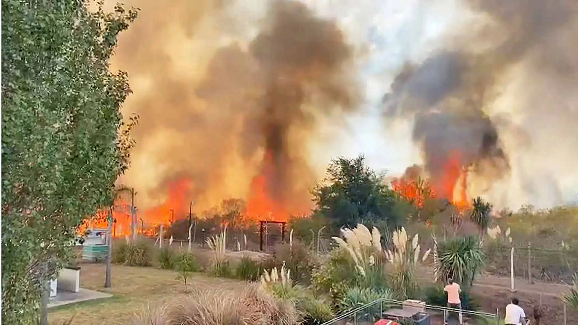 Incendios forestales