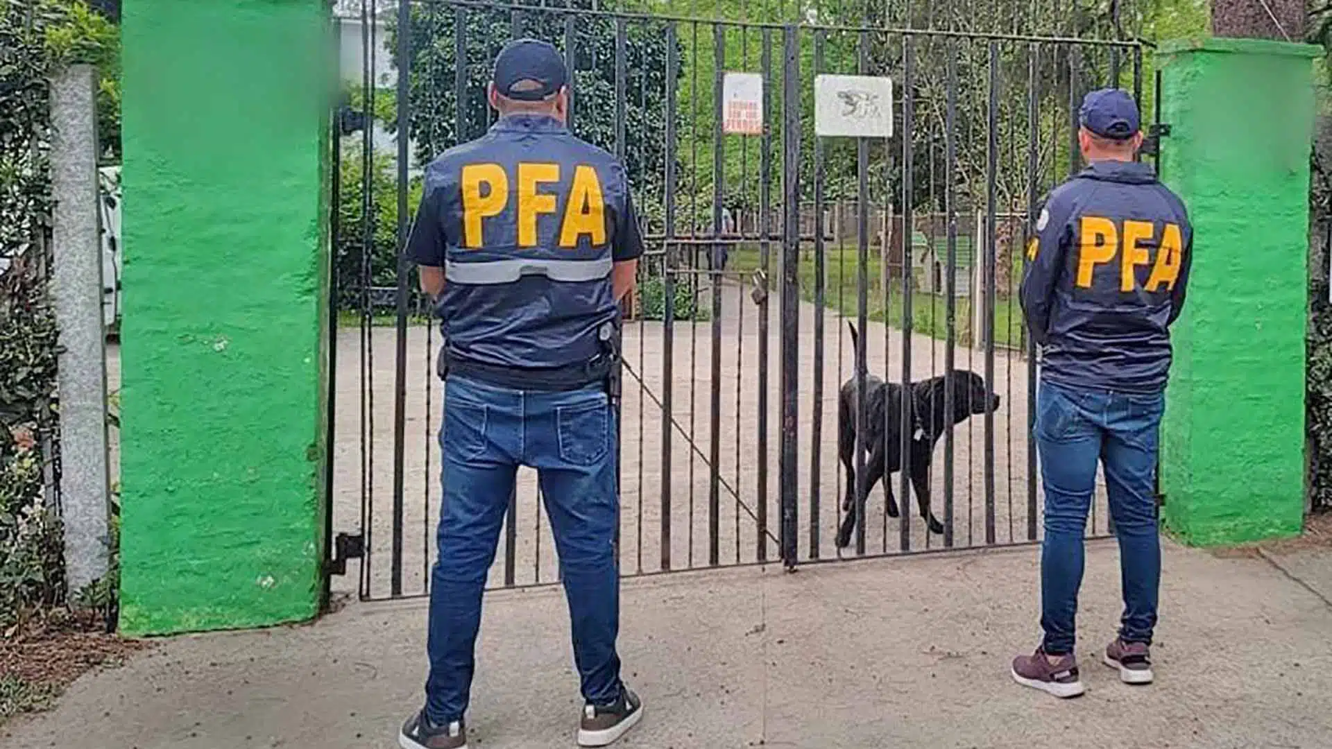 Contrabando de perros