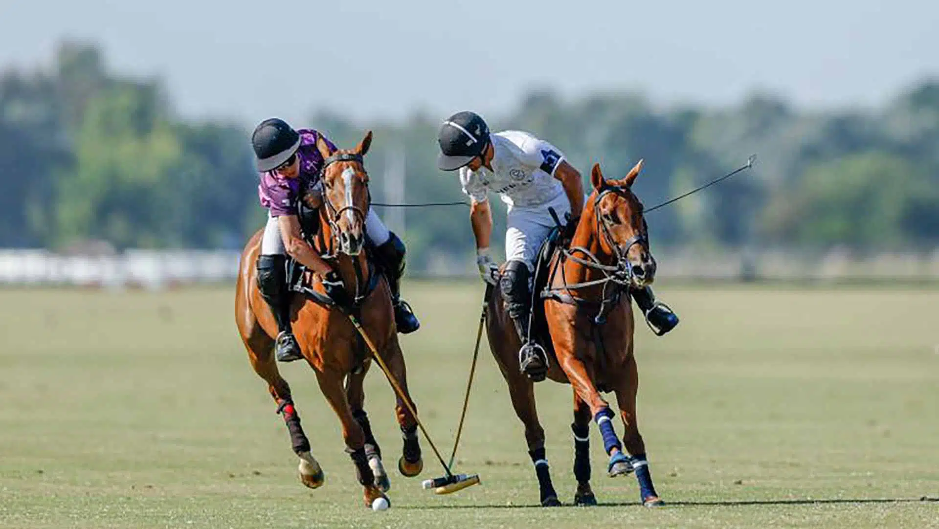 Copa República Polo