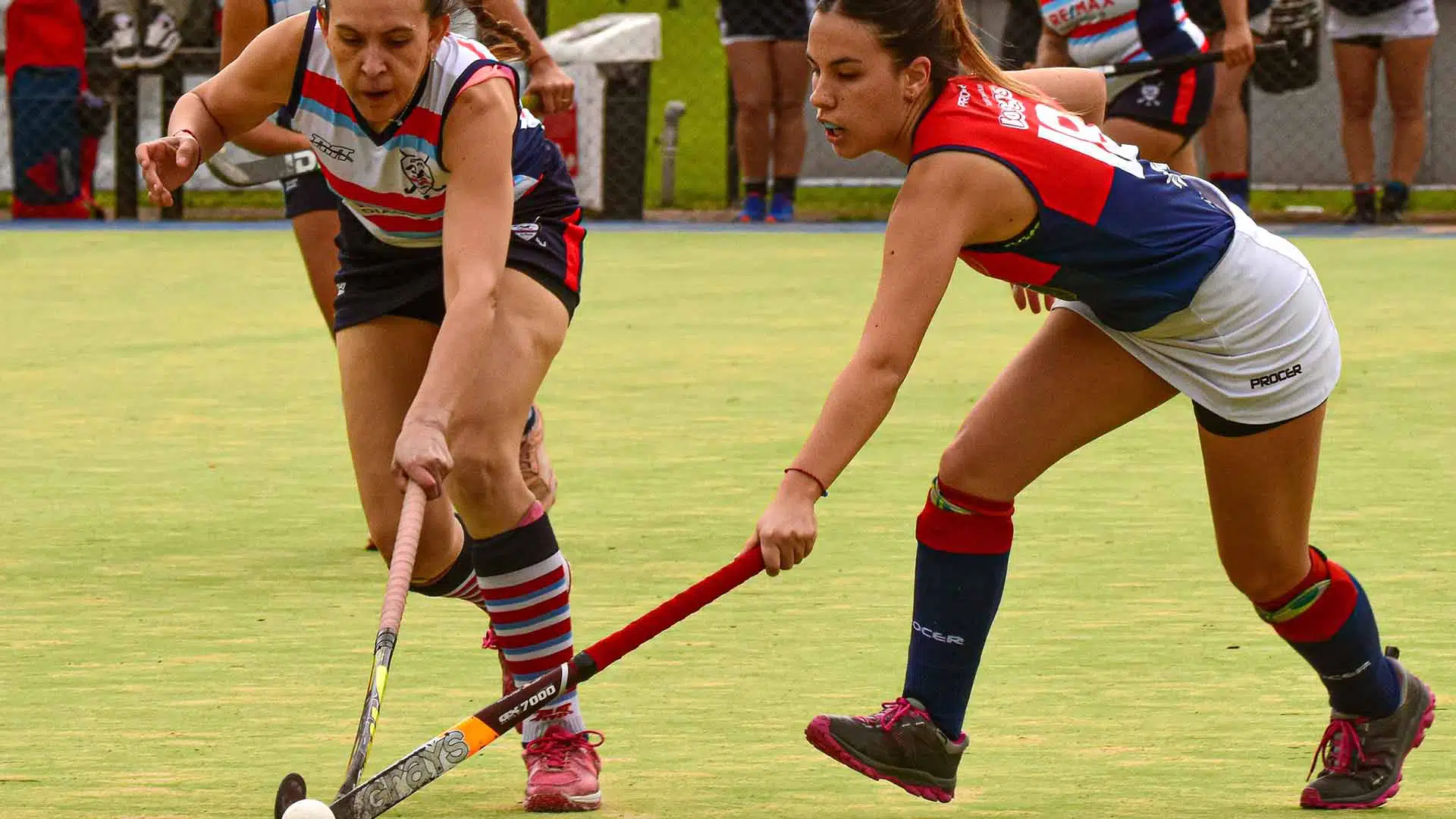 Hockey pilarenses