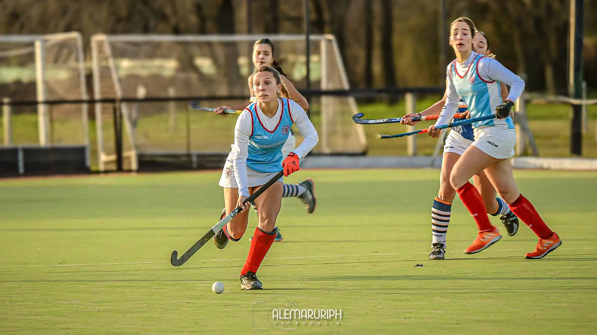 Hockey Liga Metropolitana