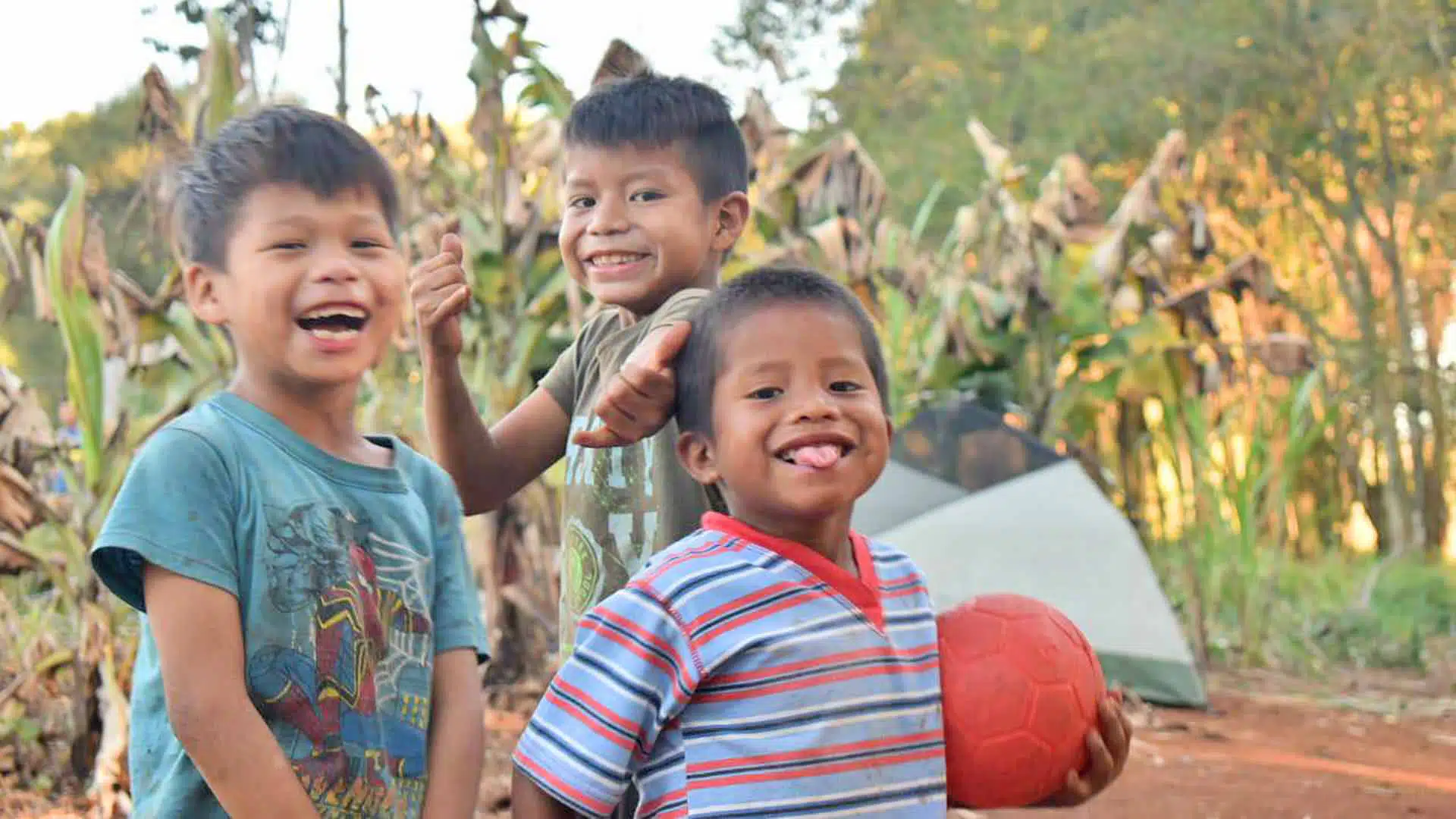 Palabras del Alma donaciones