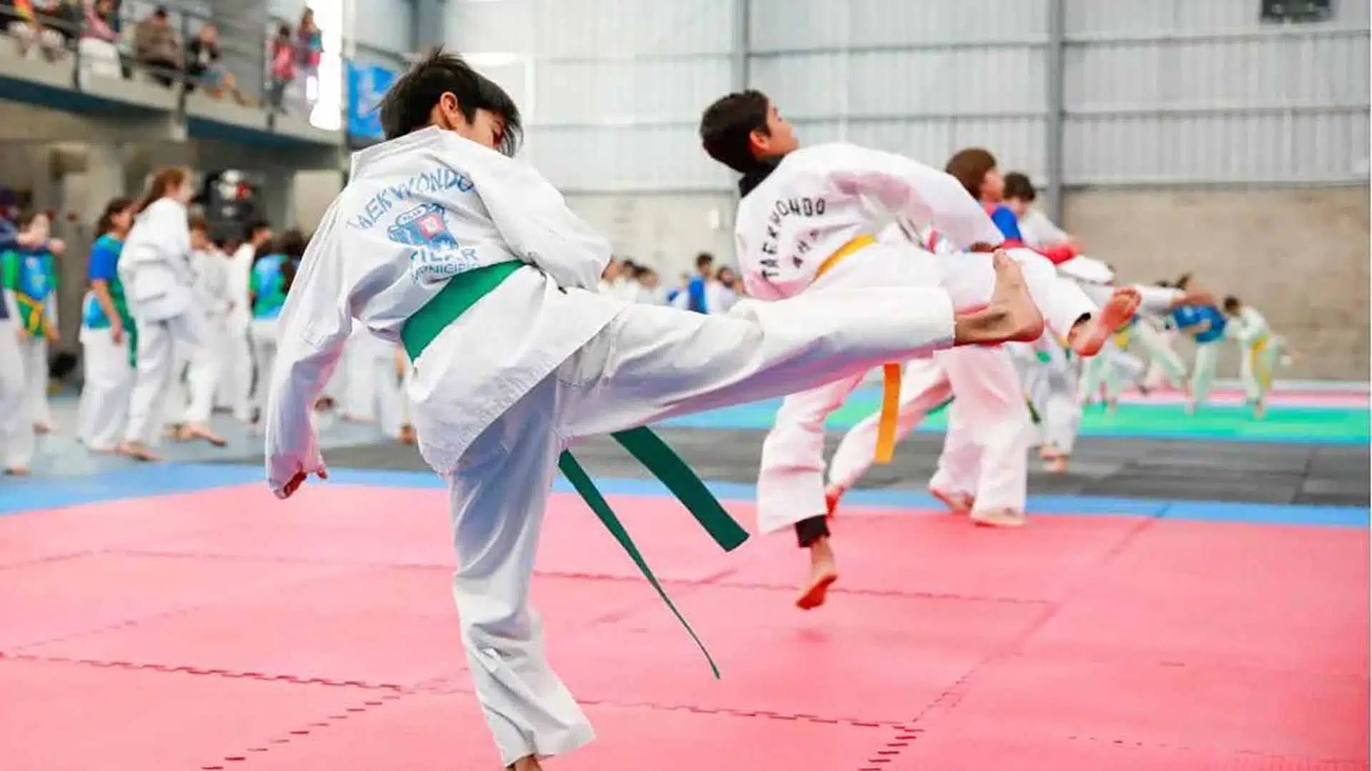 Se disputa el Open Copa Pilar 2025 - Taekwondo 1 