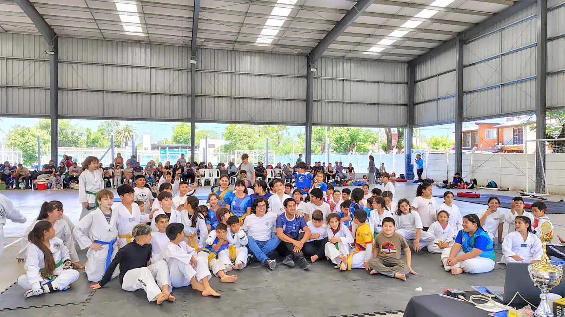 Copa Desafío taekwondo